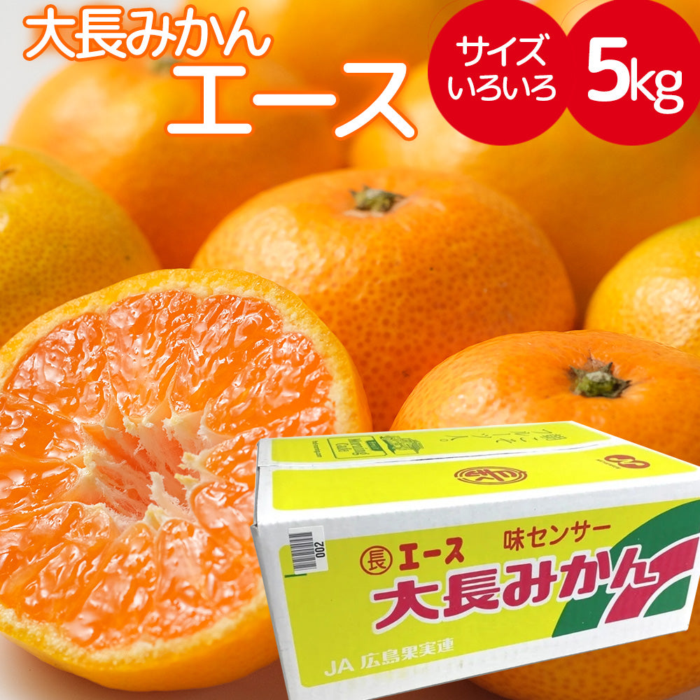 大長みかんエース