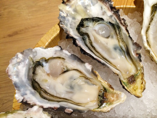 広島限定 お好みソース 2本セット (1本300g) 送料込み 濃厚ソース オタフク