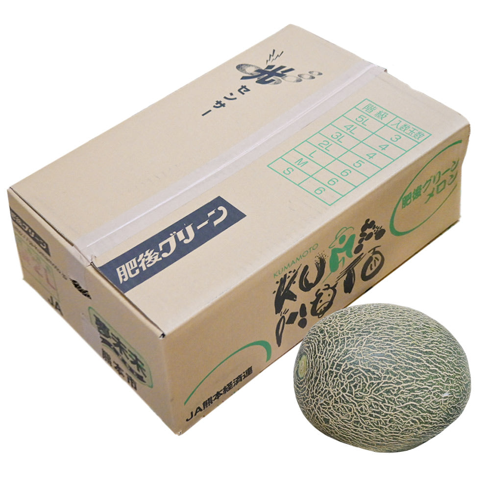 熊本県産 肥後グリーンメロン 8kg 5玉 期間限定販売 送料無料 市場直送