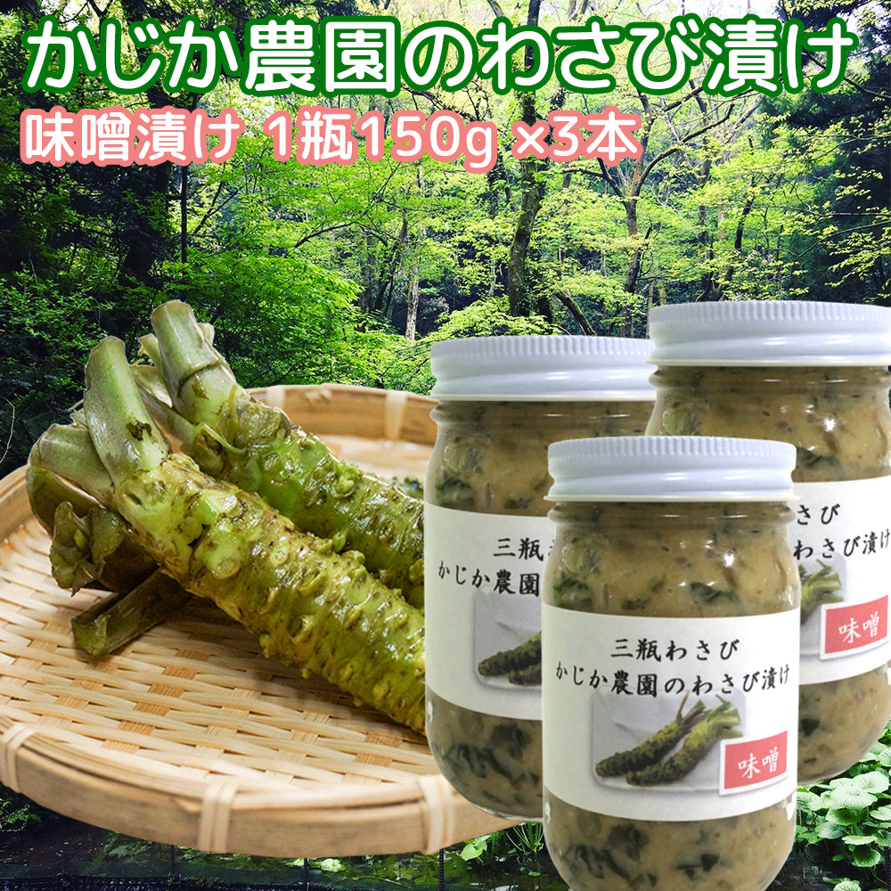 島根県産 わさび漬け (味噌) 1瓶150g 3本セット
