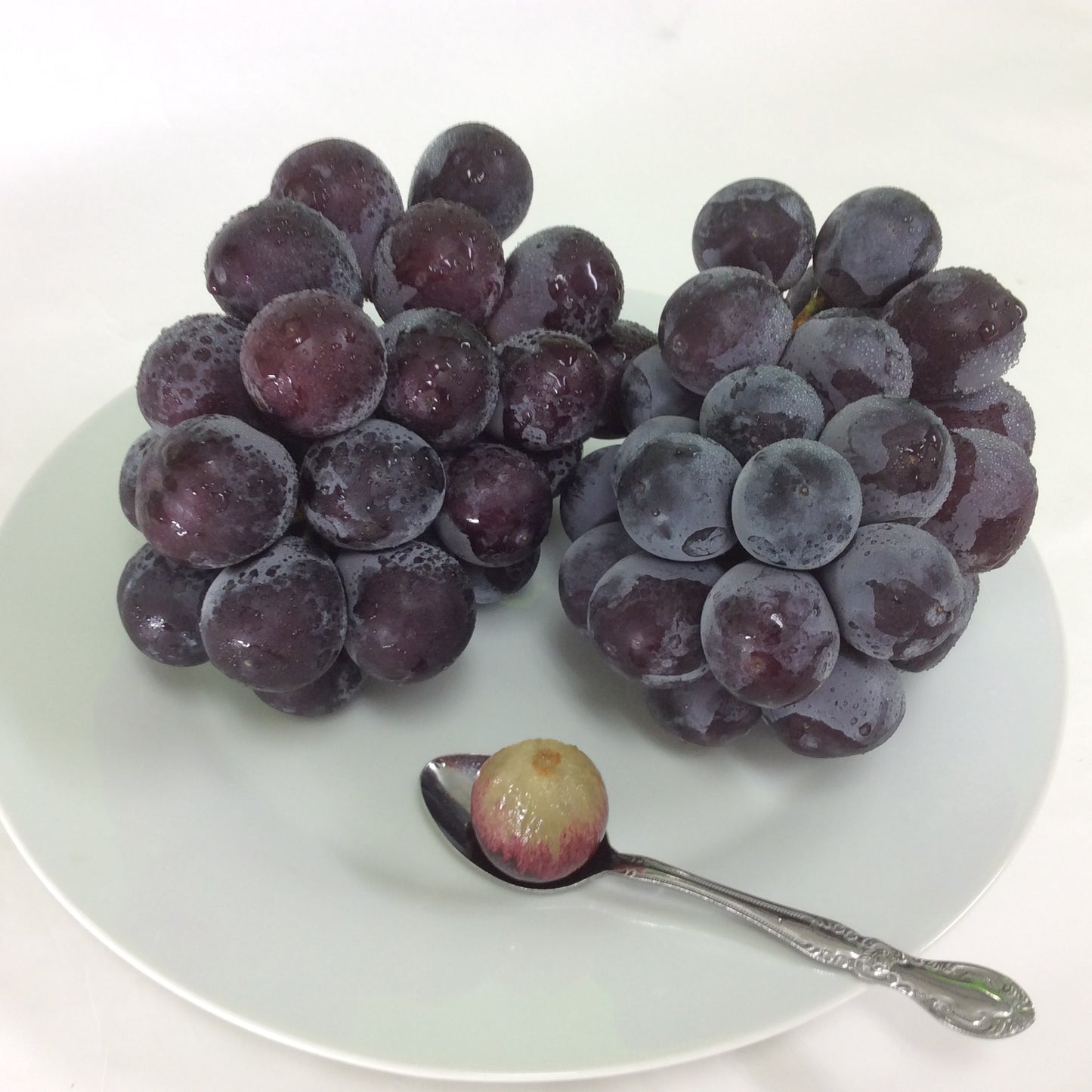 三次ピオーネ 特選 広島産 2房 1kg 化粧箱入り 露地物 クール便 送料無料 北海道、沖縄、離島除く 黒い真珠 ぶどう 三次 進物ギフト