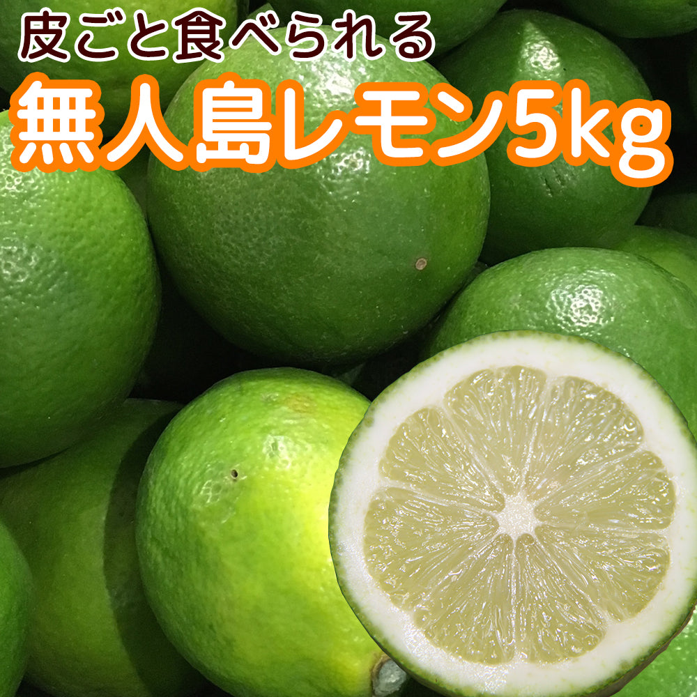 農園直送 広島産 無人島のレモン 約5kg 送料込み サイズいろいろ 皮まで食べられます 国産レモン 越智農園