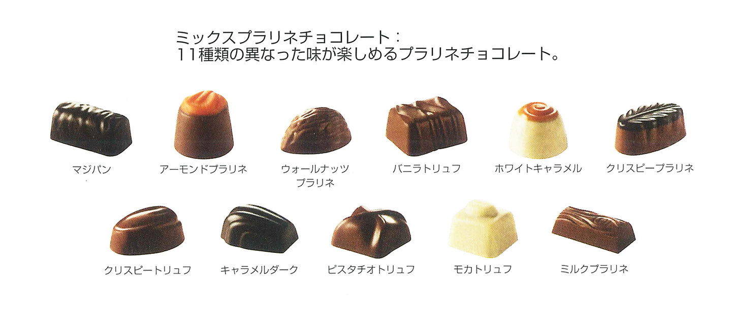 デュックドール プラリネ バポティン 250g22粒 11種類の味 ゴールド包装 送料込み ベルギーチョコ Duc d’O 輸入チョコ