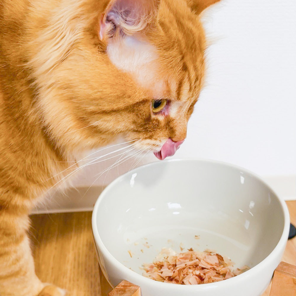 ONOMICHI 猫節 10g(2g×5) 20箱セット 本枯節 まるじょう 送料込み 鰹節 かつお おつまみ おやつ