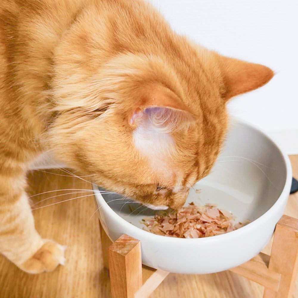 ONOMICHI 猫節 10g(2g×5) 20箱セット 本枯節 まるじょう 送料込み 鰹節 かつお おつまみ おやつ