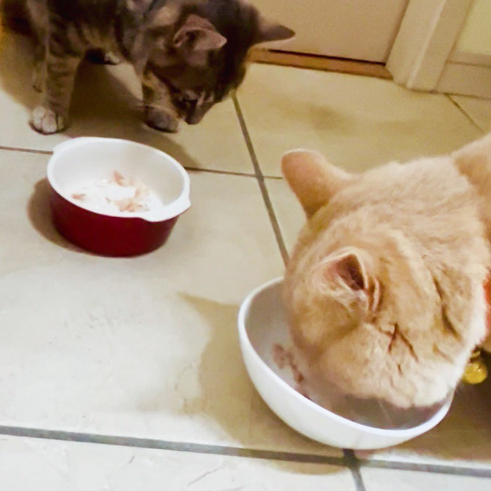 ONOMICHI 猫節 10g(2g×5) 20箱セット 本枯節 まるじょう 送料込み 鰹節 かつお おつまみ おやつ