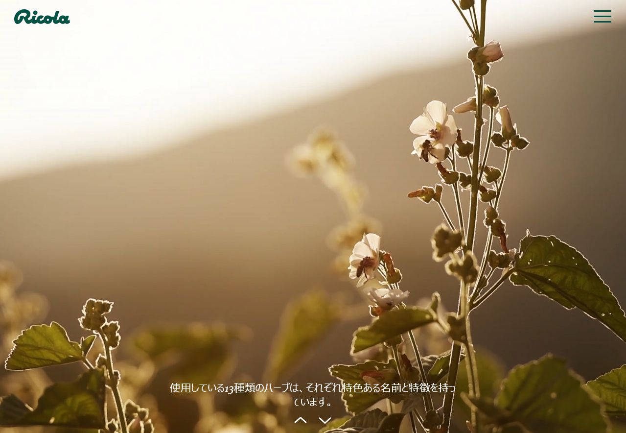 リコラ レモンミントハーブキャンディー 1袋70g36袋セット 送料無料 のど飴 スイスハーブキャンディー リコラ 合成香料着色不使用