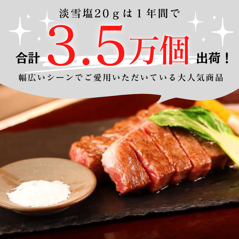 淡雪塩 20g 10袋セット 送料込み 寿司 ステーキ 料亭 ワンランクアップ 日東食品工業