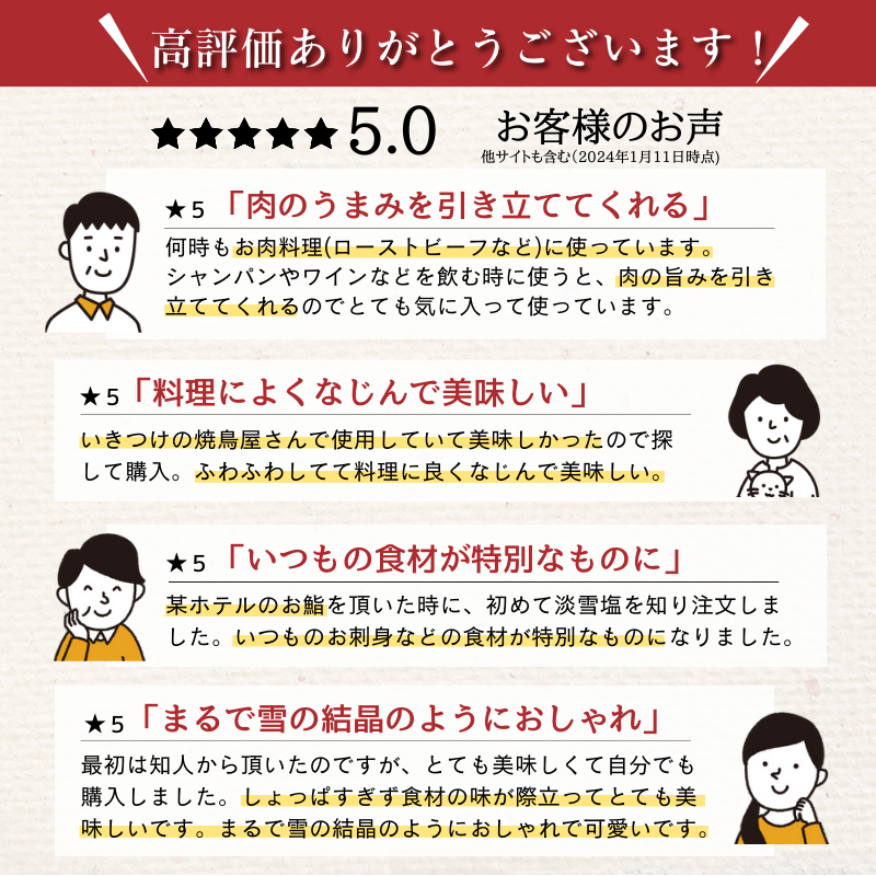 淡雪塩 20g 10袋セット 送料込み 寿司 ステーキ 料亭 ワンランクアップ 日東食品工業