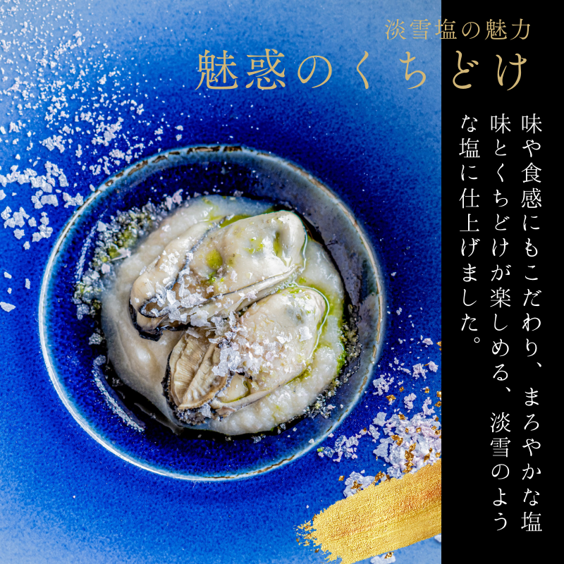 淡雪塩 20g 10袋セット 送料込み 寿司 ステーキ 料亭 ワンランクアップ 日東食品工業