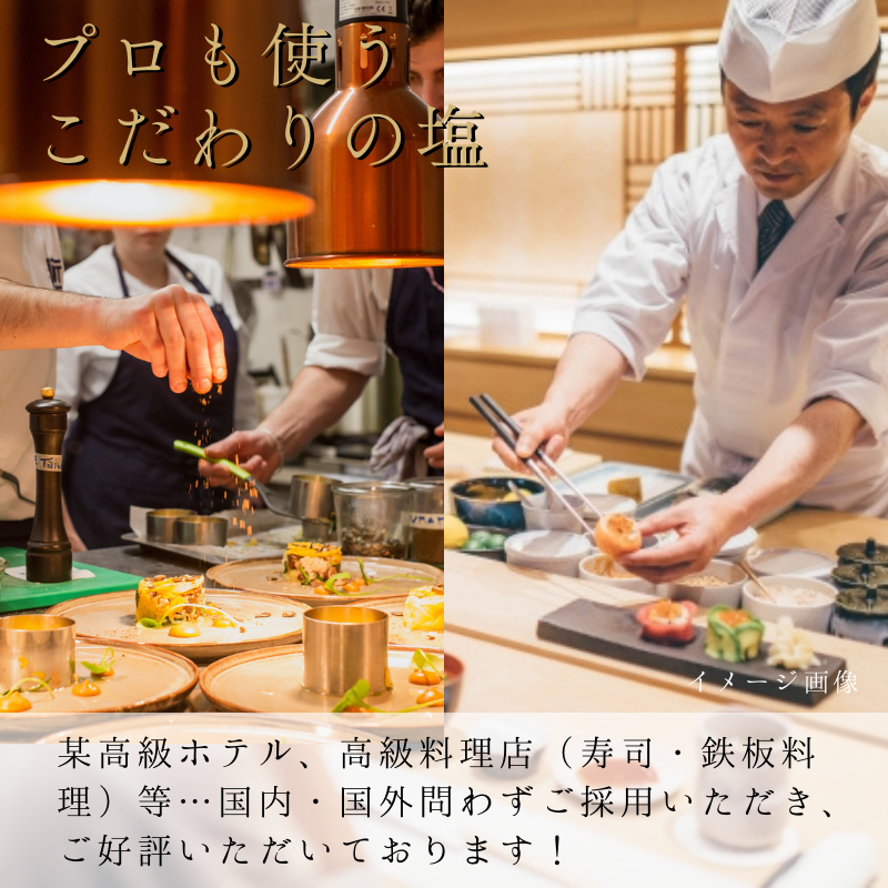 淡雪塩 20g 10袋セット 送料込み 寿司 ステーキ 料亭 ワンランクアップ 日東食品工業