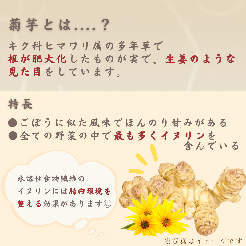 きくいもポタージュ 14g4袋入 3袋セット 送料込み 食物繊維 イヌリン 菊芋 きく芋 海人の藻塩 日東食品工業