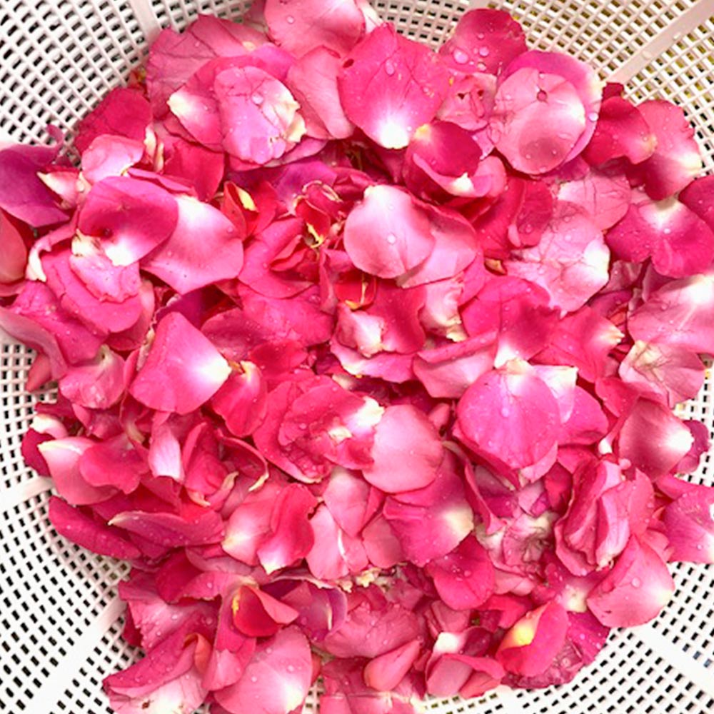 瀬戸内 薔薇ぷりん 8個セット 万汐農園送 料無料 お取り寄せ バラ プリン 尾道 向島