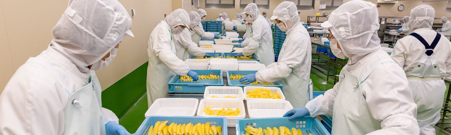 味付け 数の子 500g 化粧箱入り 2箱セット アメリカ、カナダ産 送料込み おせち かずのこ ギフト