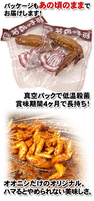 オオニシ 尾道の駄菓子 若鶏手羽先 ブロイラー ガーリック風味 500本セット 業務用
