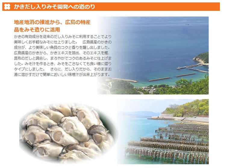 即席 かきだし入り みそ汁 3食用 10袋セット 新庄みそ 即席タイプ 送料込み だし入りだからそのままお湯に溶かすだけ みそ カキ 牡蠣味噌