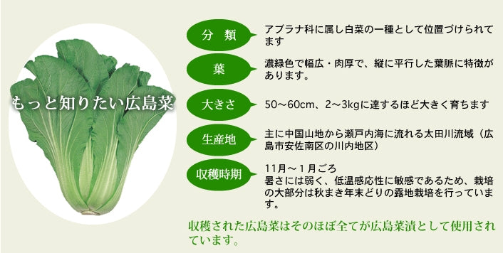 山豊漬物 広島菜漬け かき醤油 本醸漬 1箱３００ｇ 5箱入り