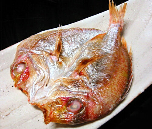 産地直送 島根県沖産 一夜干 恵比寿 送料込み のどぐろ、エテかれい、甘鯛、れんこ鯛 (冷凍) ギフト 干し物 お取り寄せ 岡富商店