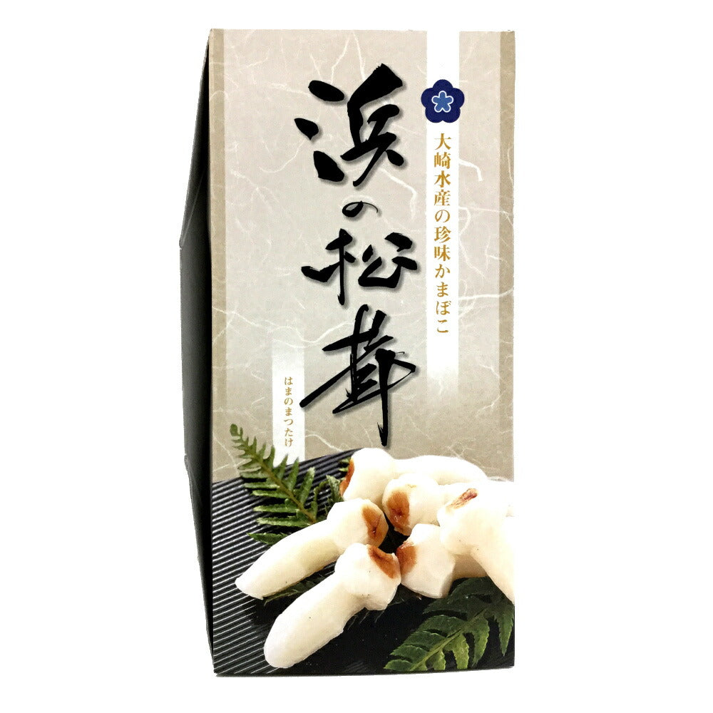 珍味蒲鉾 浜の松茸 10粒入り×10 2箱セット ザ・広島ブランド