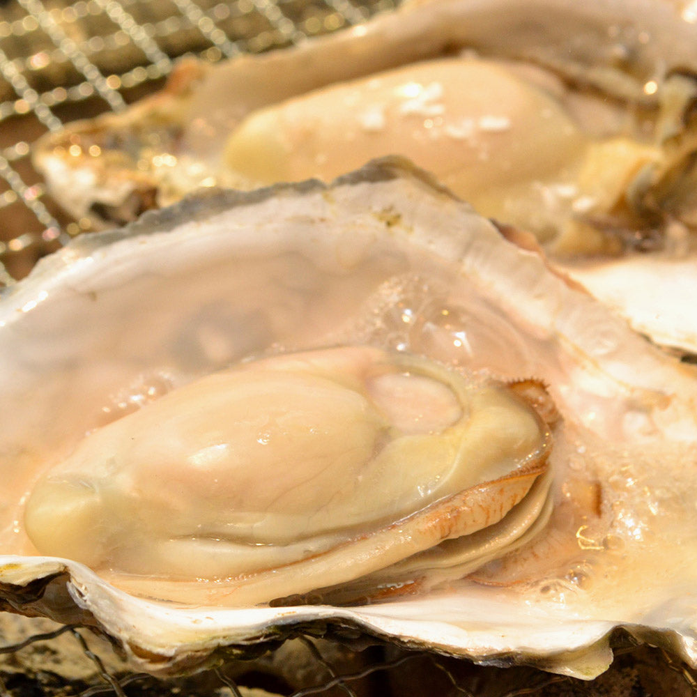 広島限定お好みソース 牡蠣エキス入り 4本セット(1本300g)