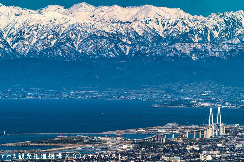 富山ブラックカレー中辛 パウチタイプ 1人前2箱セット