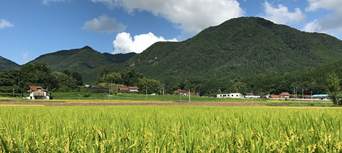のどくろ だし醤油 100ml 12本セット