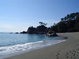 高知産 煮干しパック (10g×12)6袋