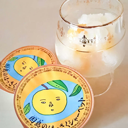 広島銘菓 因島のはっさくシャーベット