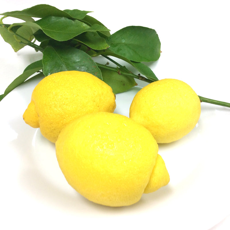 農園直送 広島産 無人島のレモン 約10kg 送料込み サイズいろいろ 皮まで食べられます 国産レモン 越智農園