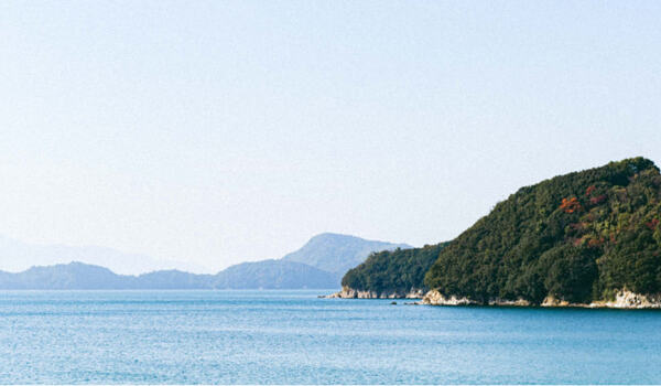 岸田ポン酢 本だいだい しぼり酢 150ml 送料込み　橙 果汁 調味料 岸田商会