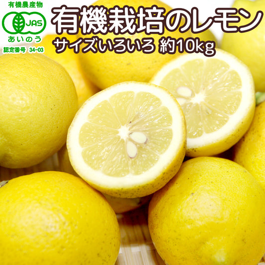 広島産 レモン 大長 有機栽培のレモン 約１０kg サイズいろいろ 皮まで食べられます 送料無料 国産レモン 有機JAS認定 広島県大崎下島 下田農園 オーガニック