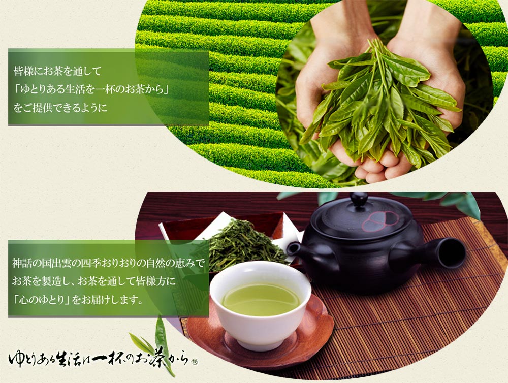 島根県産 有機煎茶 55g 2袋 有機JAS認定品 茶三代一 オーガニック