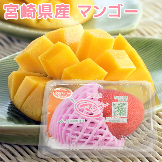 宮崎県産　マンゴー　パック　1玉　期間限定販売　送料無料　市場直送