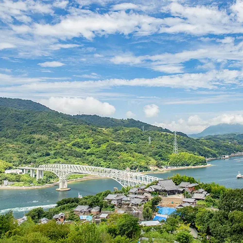 牡蠣の白だし 濃縮タイプ 広島県産カキ使用１５０ｍｌ ３本セット 送料無料 かきだし かき醬油 瀬戸内