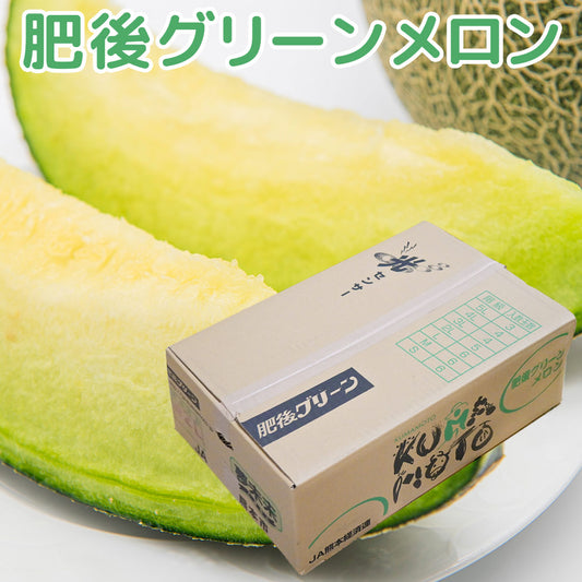 熊本県産　肥後グリーンメロン　8kg　5玉　期間限定販売　送料無料　市場直送