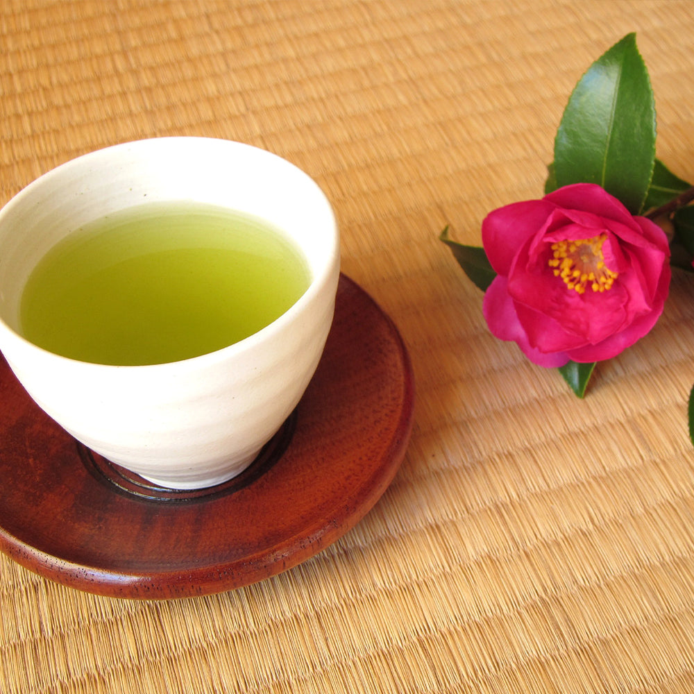 島根県産 有機煎茶 55g 3袋 有機JAS認定品 茶三代一 オーガニック