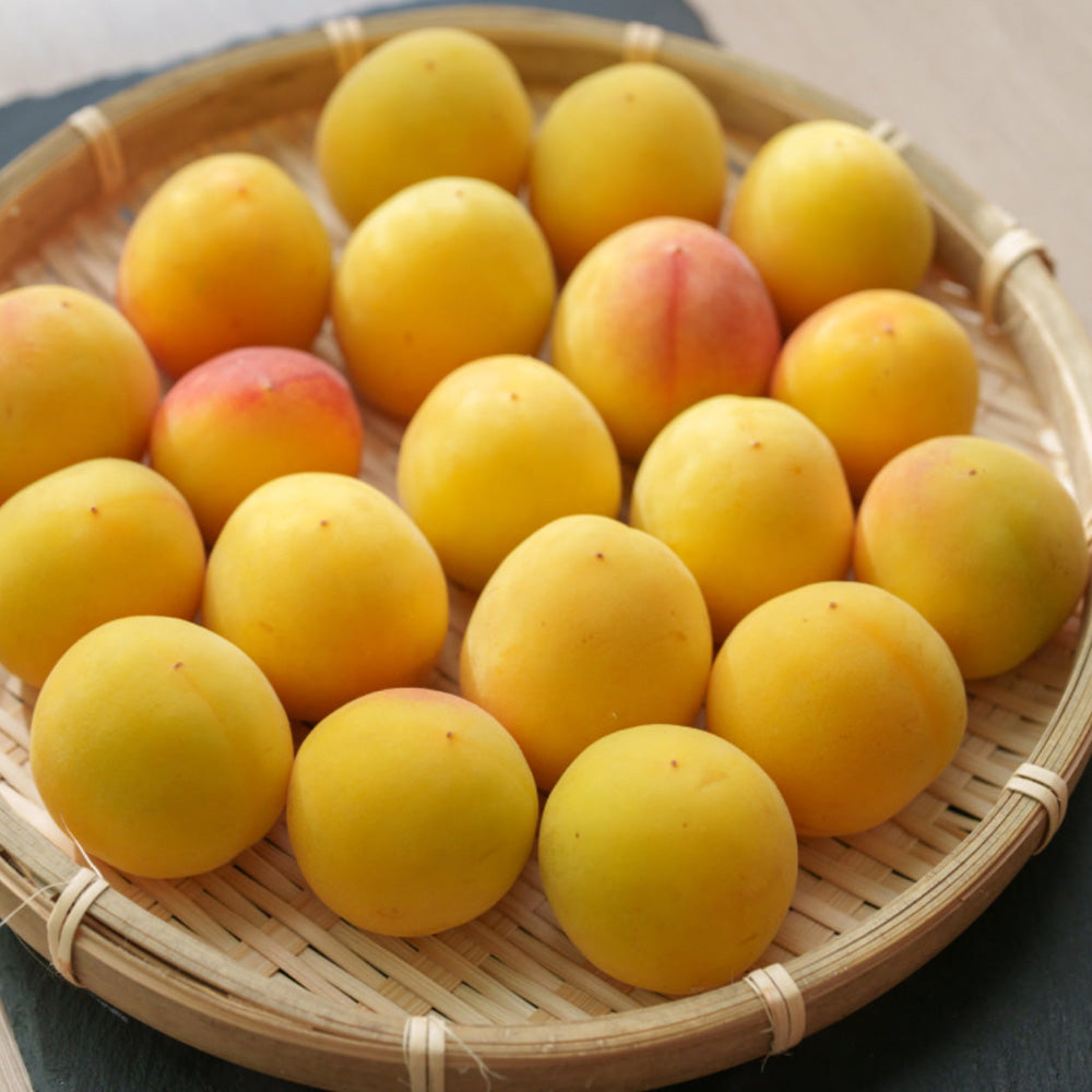 村岡食品 梅しばゼリー 12g ２00本セット　送料込み スティックタイプ 個包装　熱中症対策 お手軽 塩分補給