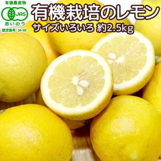 広島産 レモン 大長 有機栽培のレモン 約２．５kg サイズいろいろ 皮まで食べられます 送料無料 国産レモン 有機JAS認定 広島県大崎下島 下田農園 オーガニック