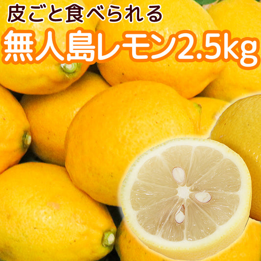 農園直送 広島産 無人島のレモン 約2.5kg 送料込み サイズいろいろ 皮まで食べられます 国産レモン 越智農園