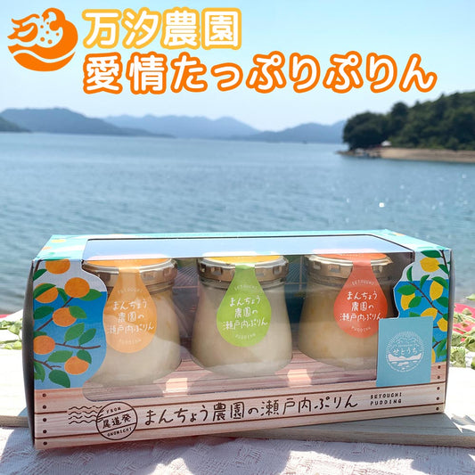瀬戸内 愛情たっぷりぷりん 1箱3個入り 万汐農園 檸檬・八朔・蜜柑 送料無料 お取り寄せ レモン はっさく みかん プリン 尾道 向島
