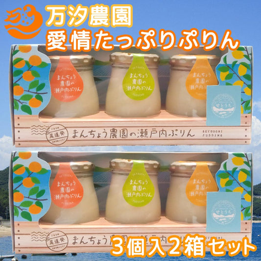 瀬戸内 愛情たっぷりぷりん 1箱3個入 2箱セット 万汐農園 檸檬・八朔・蜜柑 送料無料 お取り寄せ レモン はっさく みかん プリン 尾道 向島