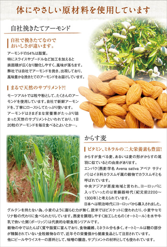 モーツアルト からす麦クッキー宮島 １２枚入 ２箱セット 送料込み 広島お土産 バッケンモーツアルト モンドセレクション金賞