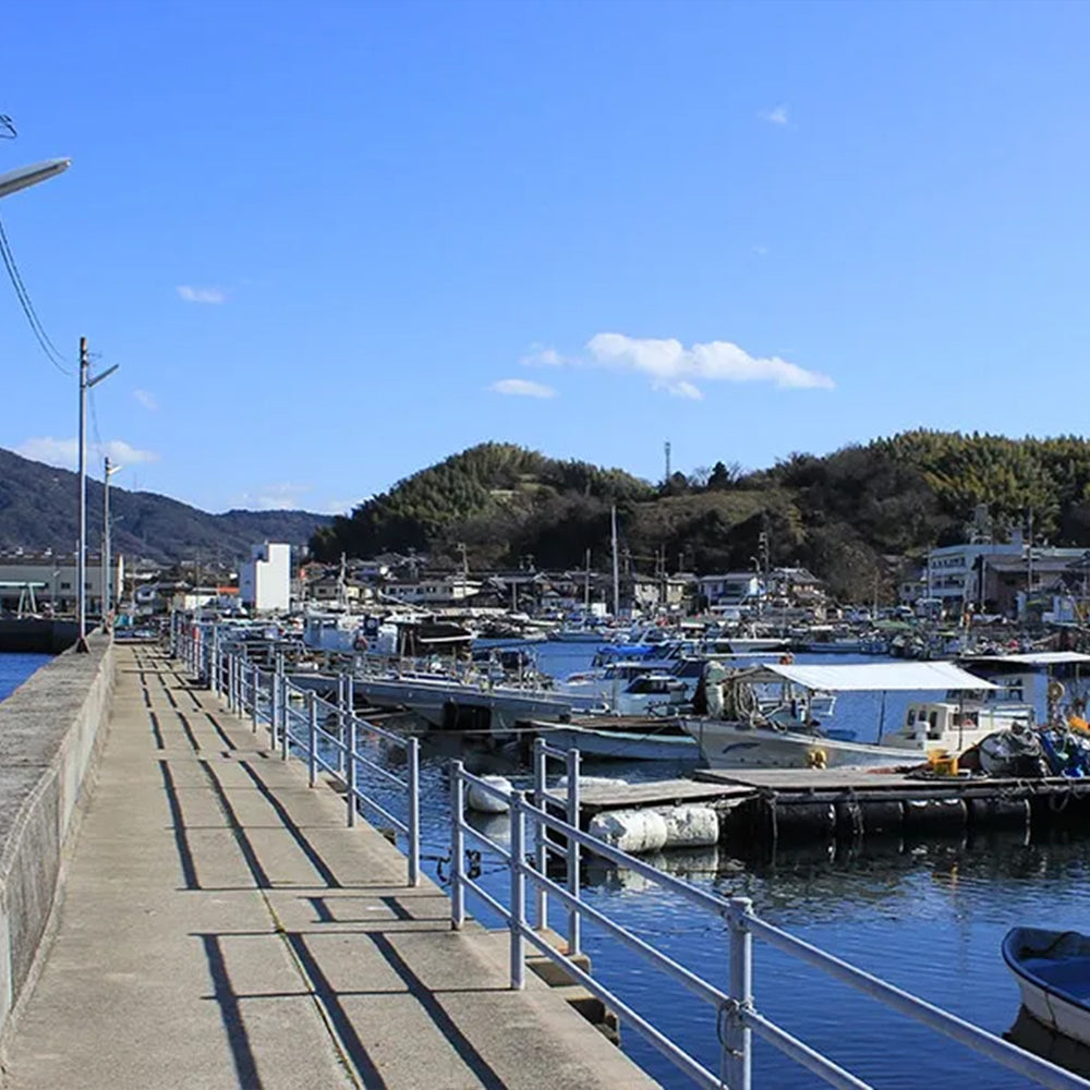 牡蠣の白だし 濃縮タイプ 広島県産カキ使用１５０ｍｌ １０本セット 送料無料 かきだし かき醬油 瀬戸内
