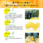 ヤマトフーズ 瀬戸内レモン＆りんご酢820g 広島県産 レモン使用 化学調味料無添加