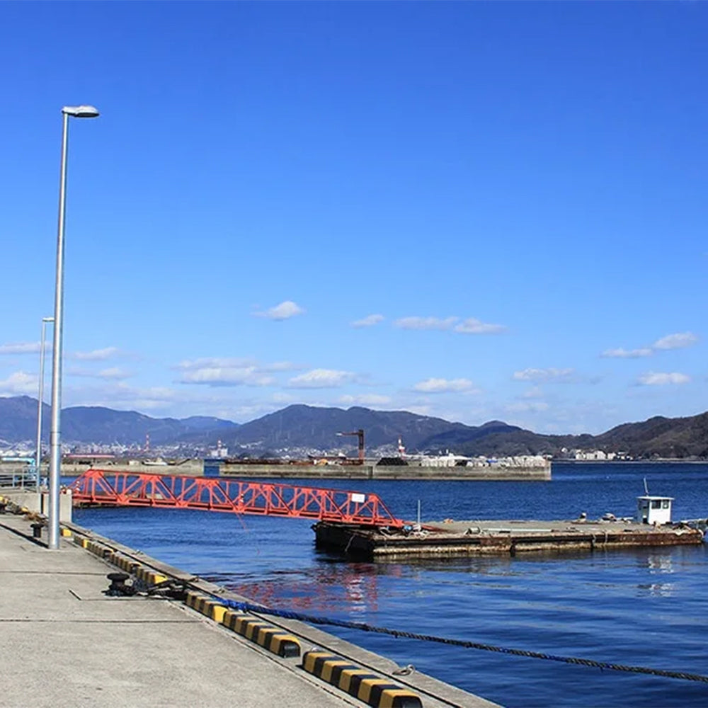 牡蠣の白だし 濃縮タイプ 広島県産カキ使用１５０ｍｌ １０本セット 送料無料 かきだし かき醬油 瀬戸内