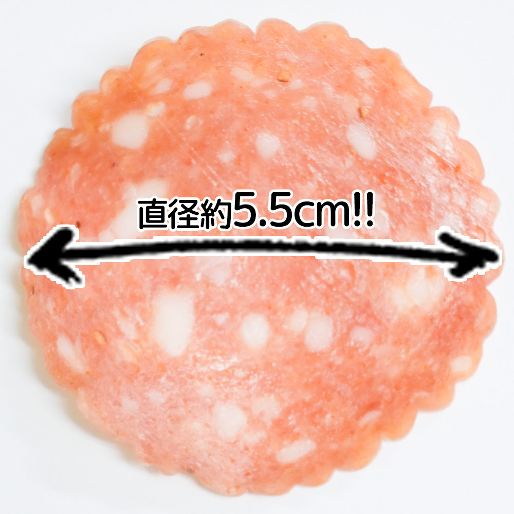 サラミスライス １００ｇ １０袋セット ひろしまグルメショップ おつまみ おやつ お徳用