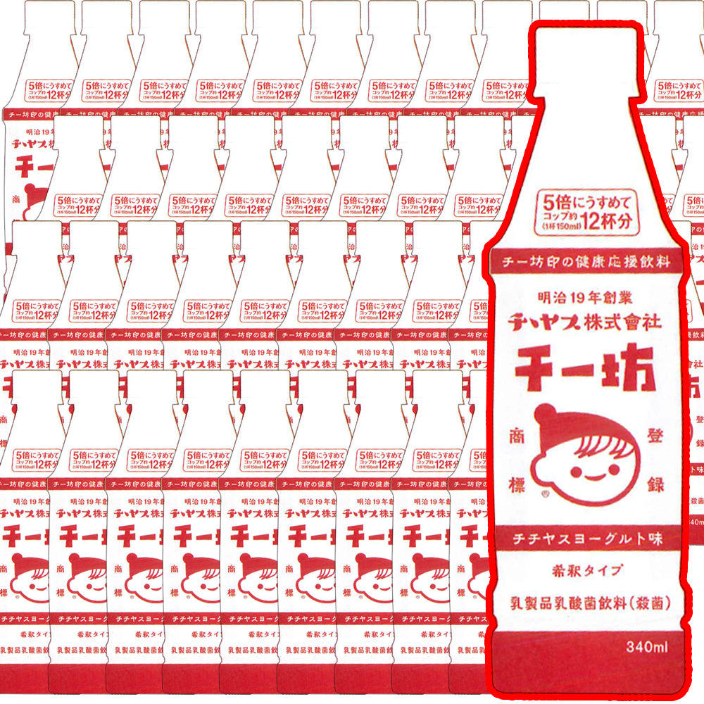 チー坊 乳酸菌飲料 340ml 1箱 24本セット　２箱セット 希釈タイプ　大容量