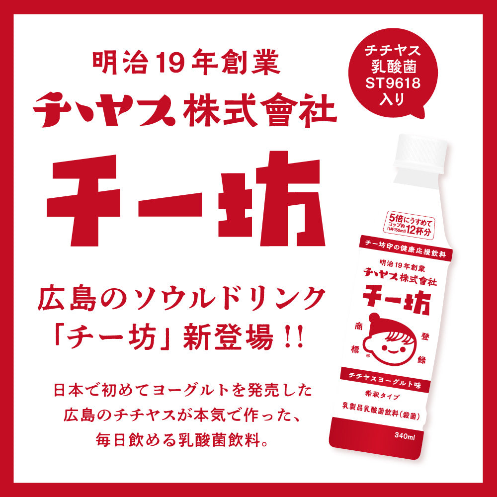 チー坊 乳酸菌飲料 340ml 1箱 24本セット　２箱セット 希釈タイプ　大容量