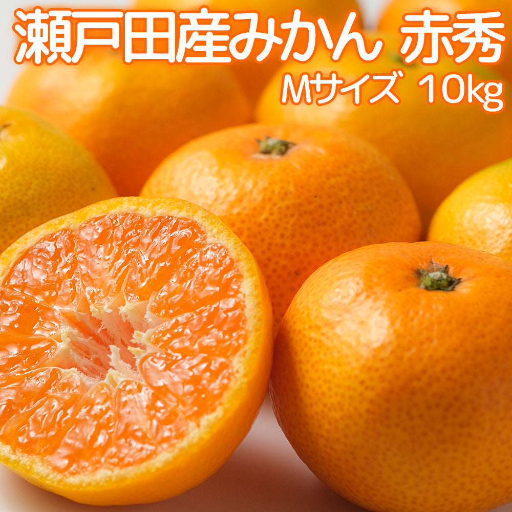 広島県 瀬戸田産 みかん 赤秀M １０ｋｇ 贈答品 送料無料 市場直送