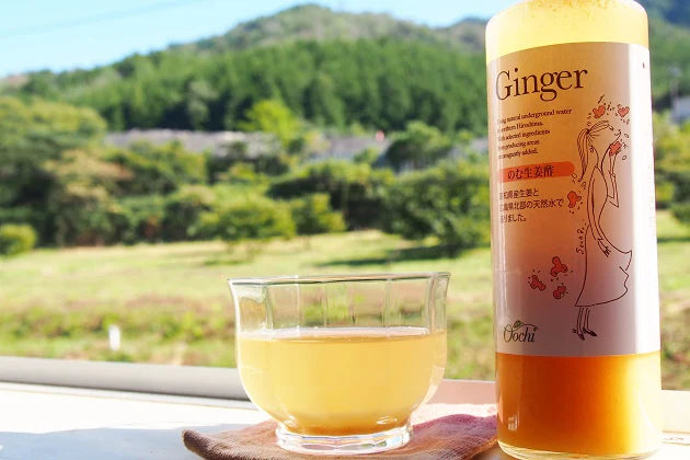 高知県産すりしょうがと純りんご酢などで造った飲みやすい のむ生姜酢 ２００ｍｌ ２本セット 送料無料 センナリ のむ酢 しょうが